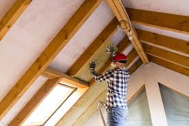 Best Eco-Friendly or Green Insulation Solutions  in Jarales, NM