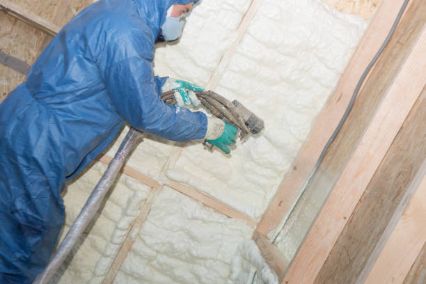 Best Insulation for New Construction  in Jarales, NM